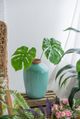 A & B Home Green 13" Vase-4