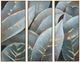 Crestview Collection Stylized Palms 3-Piece Wall Art Set-0