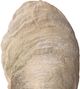 Uttermost® Oyster 2-Piece Aged Ivory Shell Sculpture Set-3