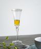 A & B Home Felicity Flute Glass-4