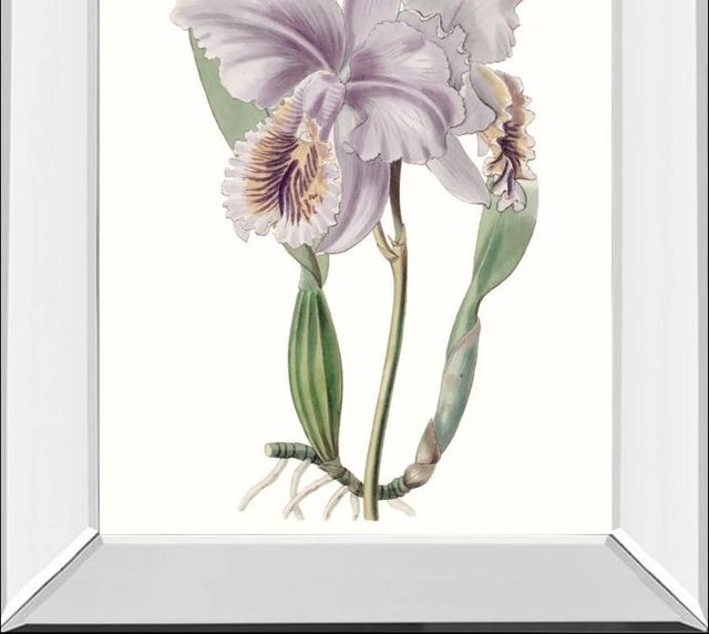Classy Art Lavender Beauties II by Edwards Mirror Framed Wall Art-1