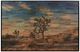 Horizon Home® Cholla Wall Art-0