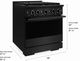 ZLINE Marino 30" Black Stainless Steel Pro Style Dual Fuel Range with 4-Burner DuoPro™ Cooktop and Electric Convection Oven-2