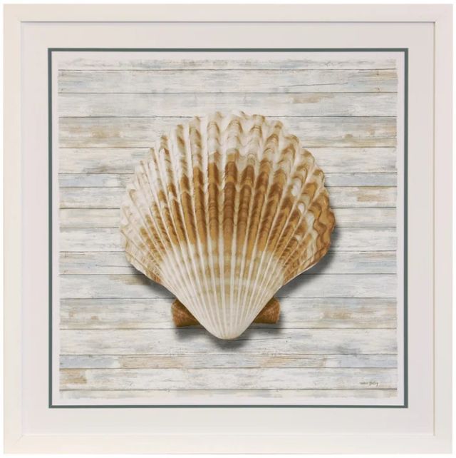 Stylecraft Seashells lV Framed Print-0