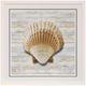 Stylecraft Seashells lV Framed Print-0