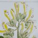 A & B Home 2-Piece Black/White Botanical Wall Art Set-5