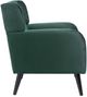 A & B Home Laurent Black/Green Accent Chair -2