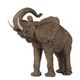 A & B Home Nickel Trumpeting Elephant Accent-1