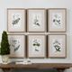 Uttermost® 6-Piece Green Floral Botanical Study Framed Prints Set-1