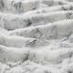Olliix by Madison Park Sachi Grey 60x70" Polyester Marble Printed Knitted Long Fur Throw-1