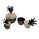 A & B Home 3-Piece Black/Brown Decorative Lidded Jar Set-1