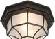 YHD Serge Oil Rubbed Bronze Incandescent Exterior Lighting-3