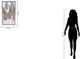 Classy Living Modern Leafs Wall Decor-2