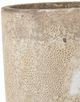 Currey & Company Elias Reactive Cream Medium Planter-2