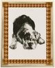 Stylecraft Framed Print Under Glass Modern Dog III Wall Art-0