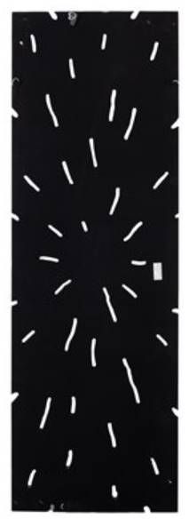 YHD Naturally Long I Wall Art-3
