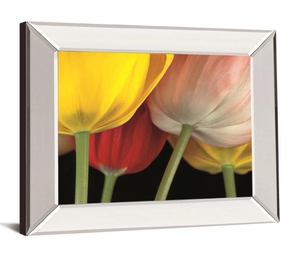 Classy Art Sunshine Tulips by Frank, A. Mirrored Frame Wall Art-1