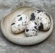 Uttermost® Nest Trio 3-Piece Beige/Charcoal Indoor-Outdoor Eggs Set-2