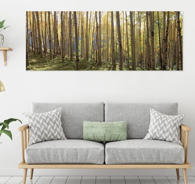 YHD Sunlit Colorado Trees Wall Art-1
