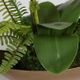 Uttermost® Transcend Antique Brass Orchid Centerpiece-5