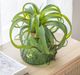 A & B Home Green Faux Spider Plant Stem-3