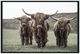Classic Home Highland Photography Wall Art-0