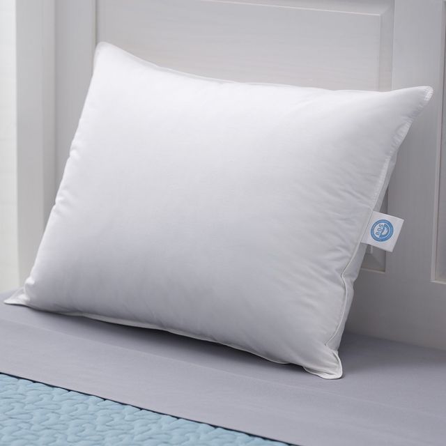 Concept ZZZ White King Prime Feather Fiber Pillow-1