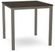Amisco Customizable Carbon Birch Veneer Counter Height Table-0