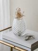 A & B Home Clear Large Glass Pineapple with LED Light-4