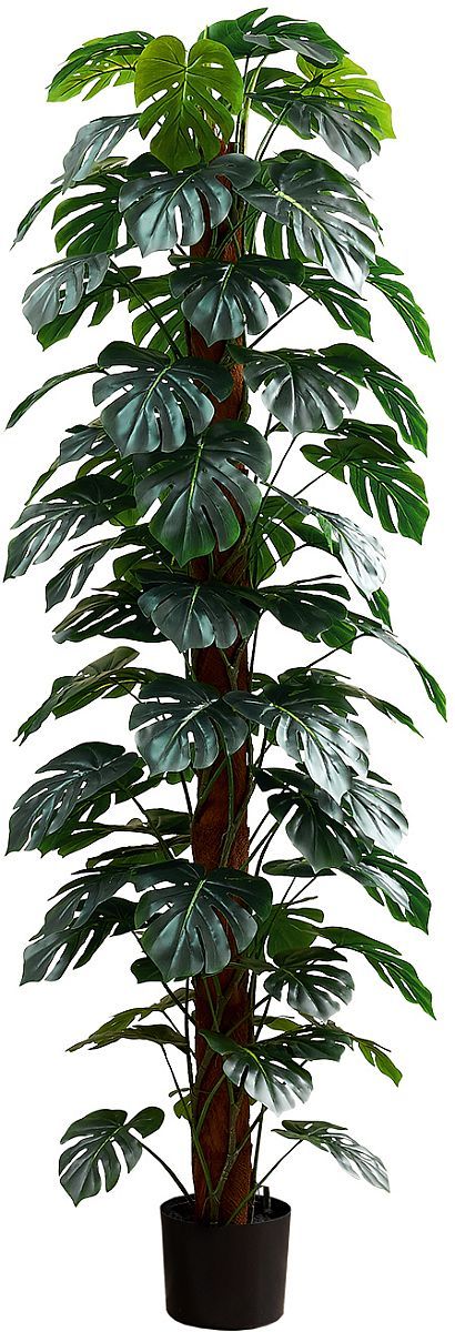 Monarch Specialties Inc. Black/Brown/Green 83" Indoor Artificial Monstera Tree with 8" Pot-0