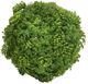 A & B Home Green 5" Water Grass Berry Ball-0