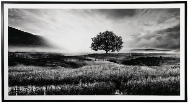 Signature Design by Ashley® Deborland Black/White Wall Art-0
