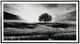 Signature Design by Ashley® Deborland Black/White Wall Art-0