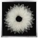 A & B Home Black/White Leaves Wall Art-1