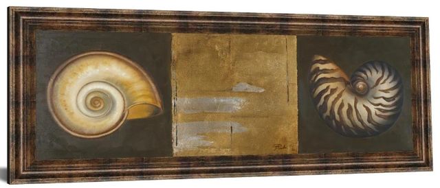 Classy Art Seashells I By Patricia Pinto Wall Art-0
