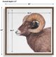 Uttermost® Big Horn Sheep Framed Print-5
