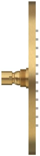 American Standard Rain Brushed Cool Sunrise Modern Showerhead-2