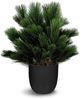 Le Present Pinus Green 28" Faux Botanical-0