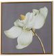 A & B Home 4-Piece Gold/White Flower Wall Art Prints Set-2