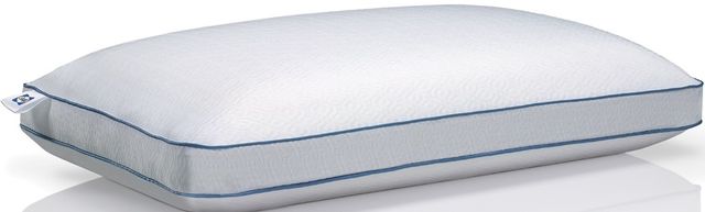 Sealy Sealy Premium Memory Foam Pillow with Support Gel Standard Pillow