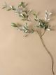 Magnolia Home by Joanna Gaines Green/White Olive Stem-0