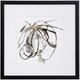 Stylecraft Brown/Gray/White Abstract Print-0