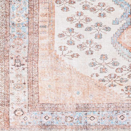 Surya Amelie Multi-Colored 8'x10' Area Rug-1