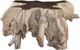 Classic Home Cypress Natural White Wash Root Coffee Table-0