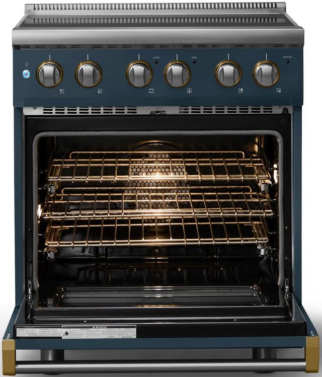 Viking® 5 Series 30" Squall Pro Style Electric Range with Brushed Brass Trim-1