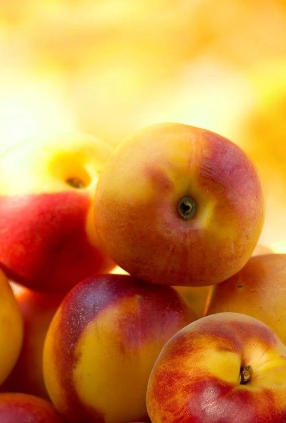 Classy Art Orange/Red Georgia Peach Wall Art-1