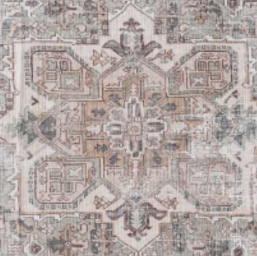 Surya Embrace Brown 4'x6' Area Rug-1