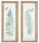 Olliix by Madison Park Linden Fern 2 Piece Set Natural Framed Wall Decor-1