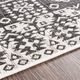 Surya Eagean Charcoal/Off-White 4'x6' Area Rug-4