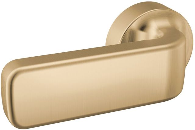 Delta Lineax™ Champagne Bronze Tank Lever-0